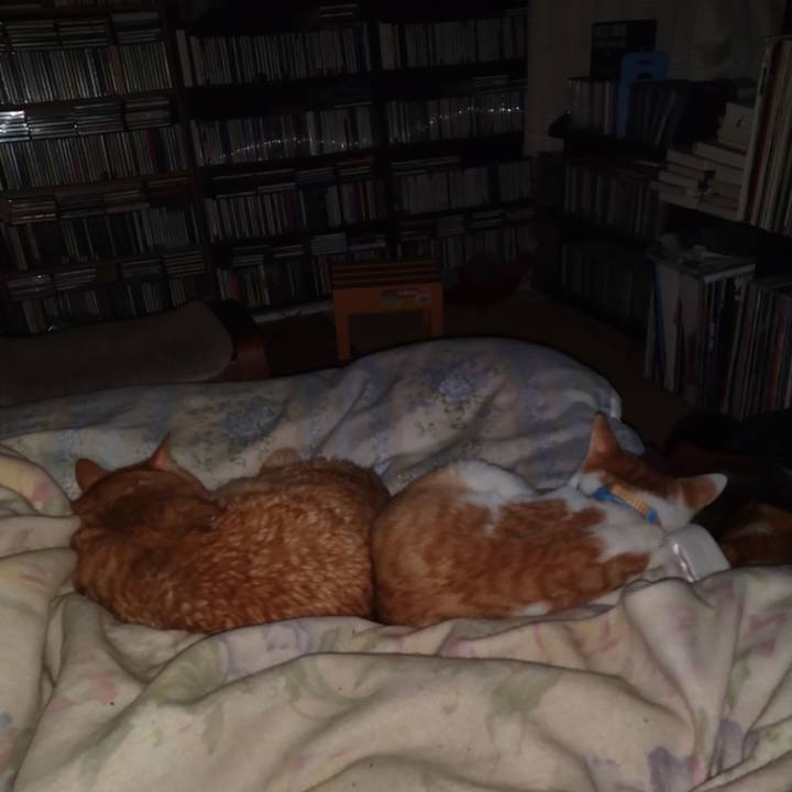 55508dda 4af6 4edc aeab 58eb004922ca 1738936733724