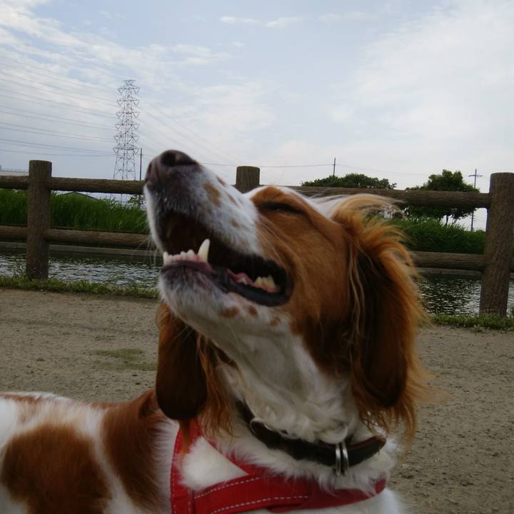 55509c20 40c1 4243 9660 d804a7073243 1526469797360