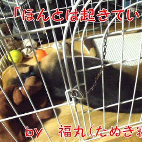 5550a0e5 e659 4262 90a1 83f4608234e2 1692923075074