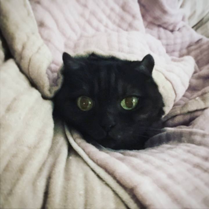 5550b741 4dbf 490b ac54 45534697f139 1547357159321