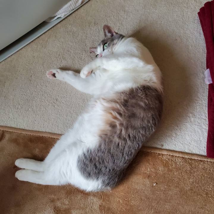 5550ee88 f401 436e ad72 bcec19f66d3b 1713518151563