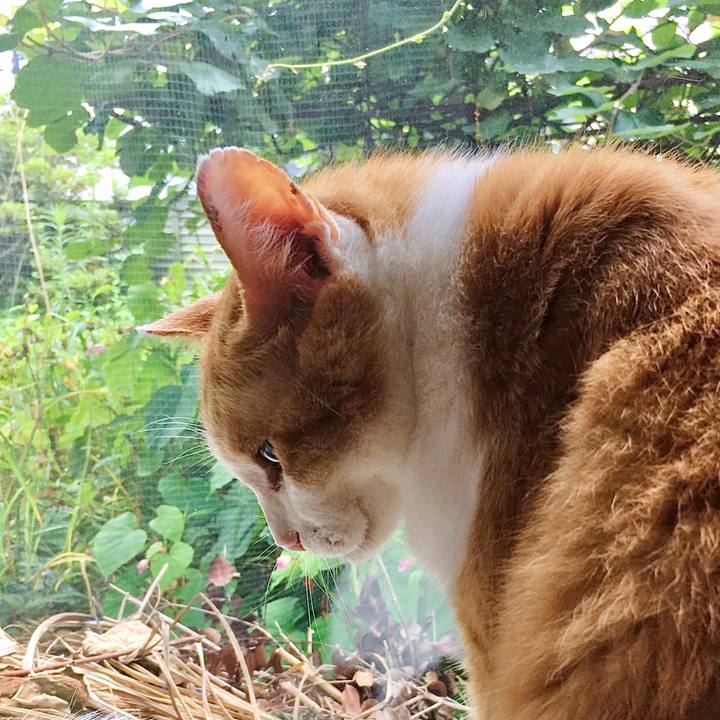 5550f855 cfd2 405b 8d39 d3dd8e891e86 1627879471571