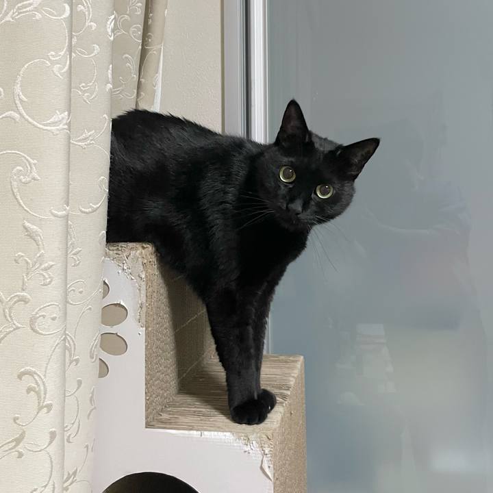 555135d9 ee6d 419f a7f2 8a58402f3d32 1713275730898