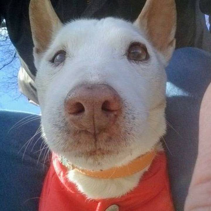 55513942 2e48 40f9 8ebc cb35840bd641 1611859693935