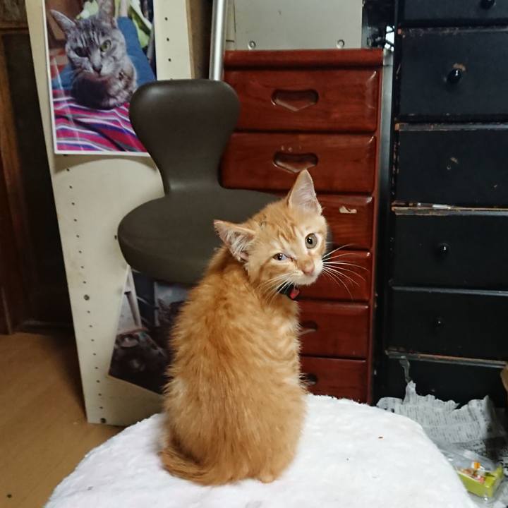 55513c3a 585d 485a 9dba e80c8e173e04 1628370348924