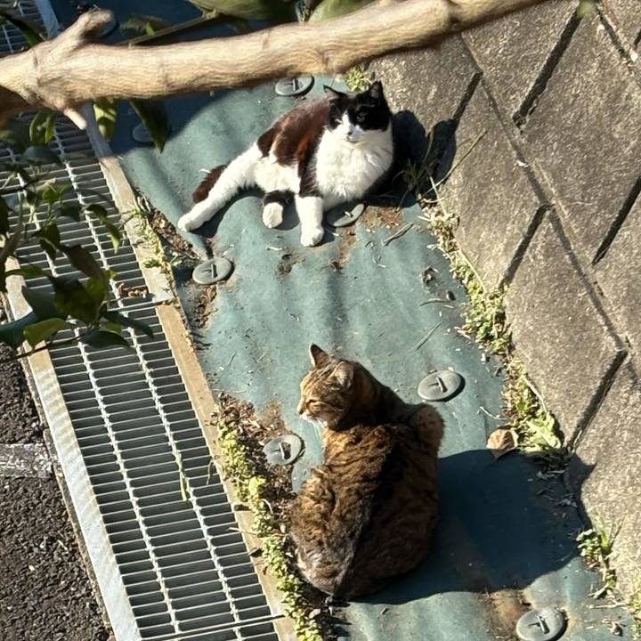 5551dbd5 577b 4f1f 9cac c413eaa6b011 1765942552204