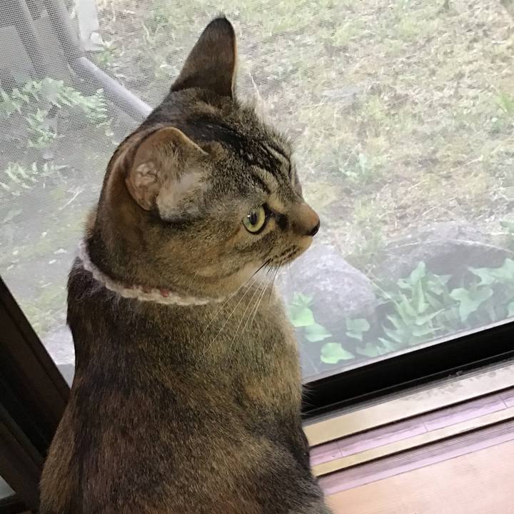 5551e140 5f91 4742 962e 5c5e9058b3a1 1655112987447