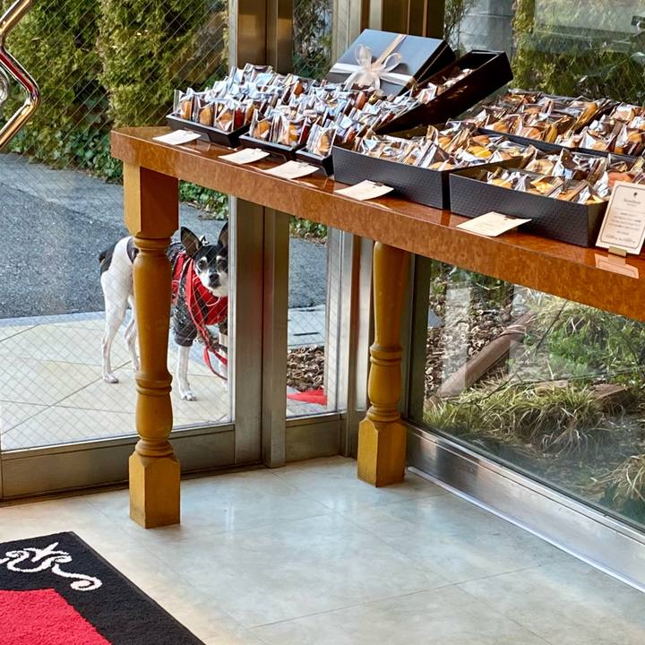 5551e9a3 0f44 4d98 944f 62690768befa 1613810463861