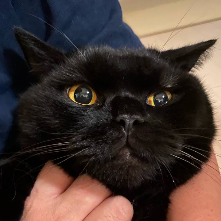 5551f878 0569 4f9b afd6 5e911350bf8a 1726748338003