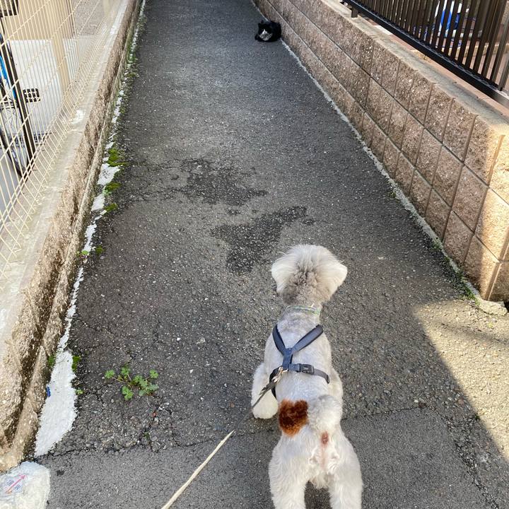 5551fa6e ca9f 42d6 a1ad 675cb09aedfc 1648395209519