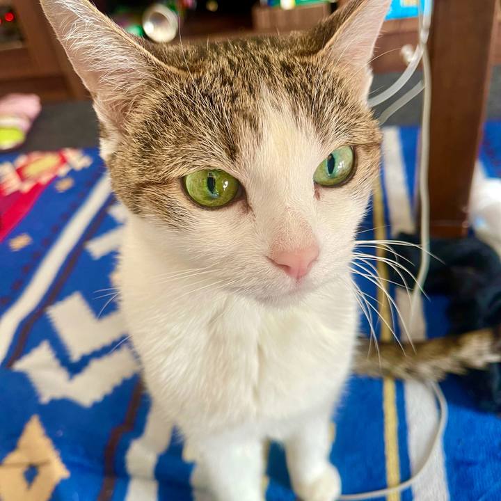 55521679 dd37 4bf1 a1f3 04e63c72136a 1637113444799