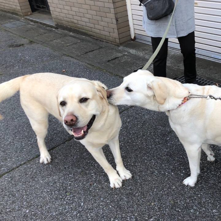 55522282 2720 496c 91e3 b3daccddfa52 1616024962210