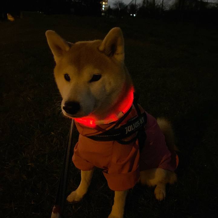 555238de 55f8 40ce 9b91 51117aa8a4dc 1637581289149