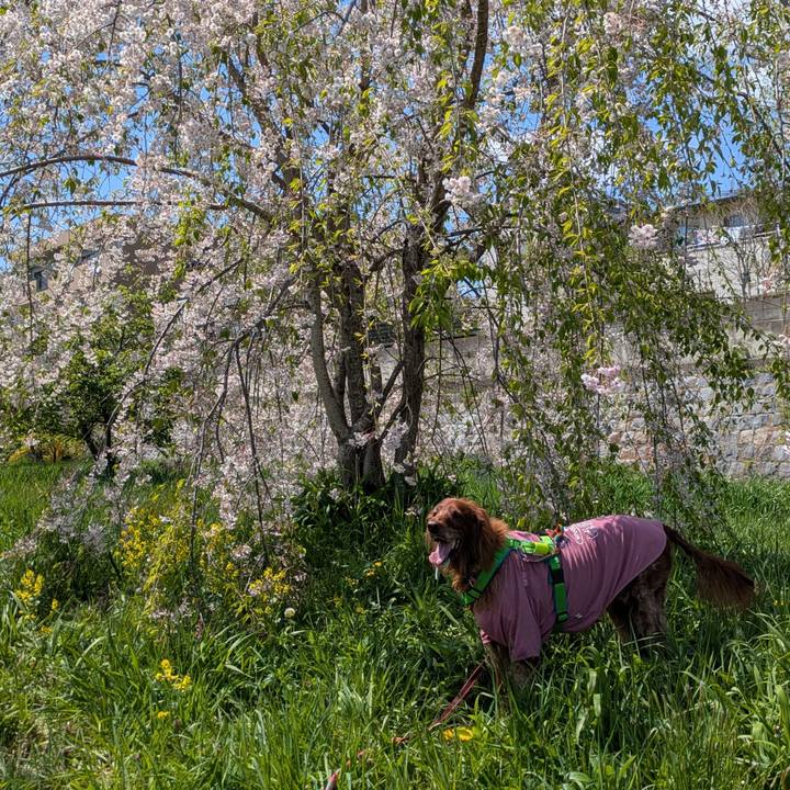 5552421e 7e2b 4a20 bb84 568f900e7739 1777027782491