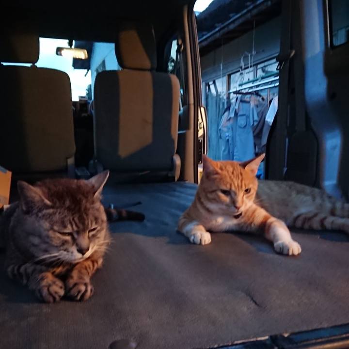 555247a5 9376 4d86 bb8d 0e26df54848b 1564050467803