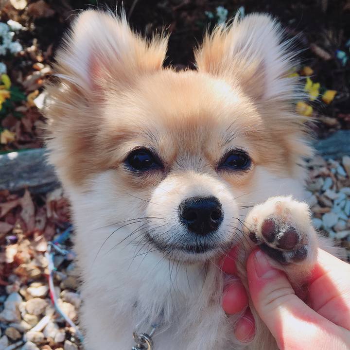 55526c3c 5036 47ca 9635 8b8521e92a84 1519470628119