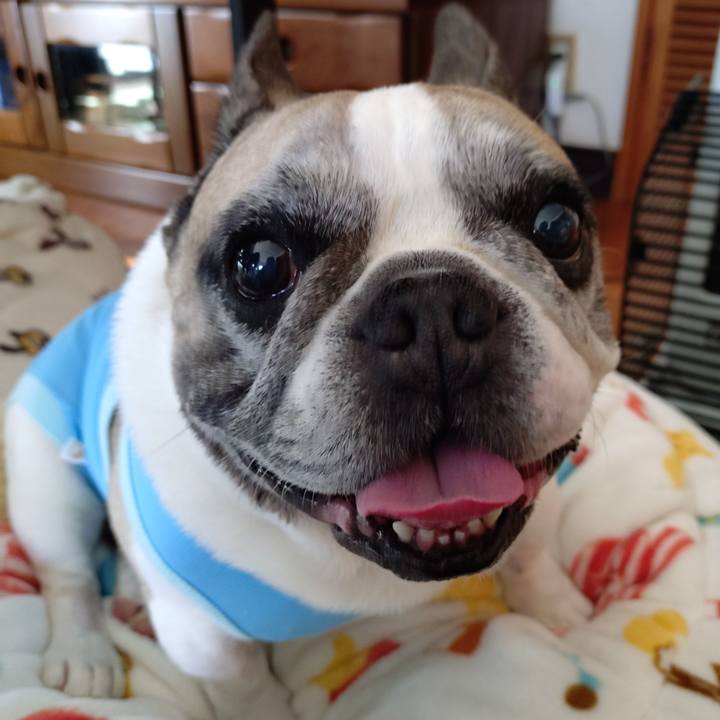 55526d64 67b4 4b06 8c6e 63f3d44fa55e 1769391931550