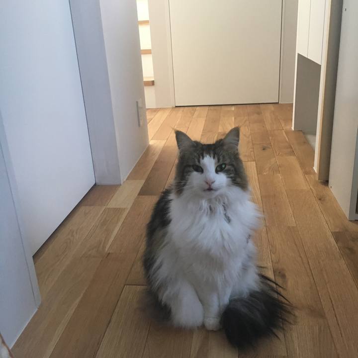 5552be68 fa32 4115 bd9a 72b301674cb9 1525248450865