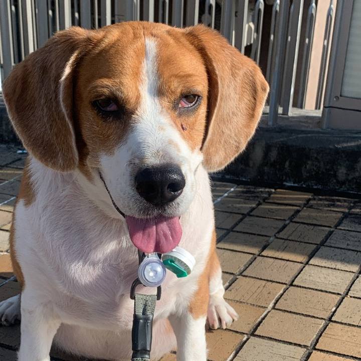 5552c2e8 d480 452b a938 2b94e488fd35 1675951545214