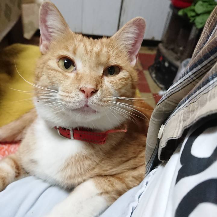 5552dbcb a2ce 4496 835e dc98f1cf7647 1570226891835