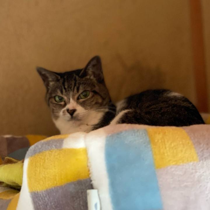 555308d8 79c3 42c3 88d6 f2c352d743c8 1651542887947