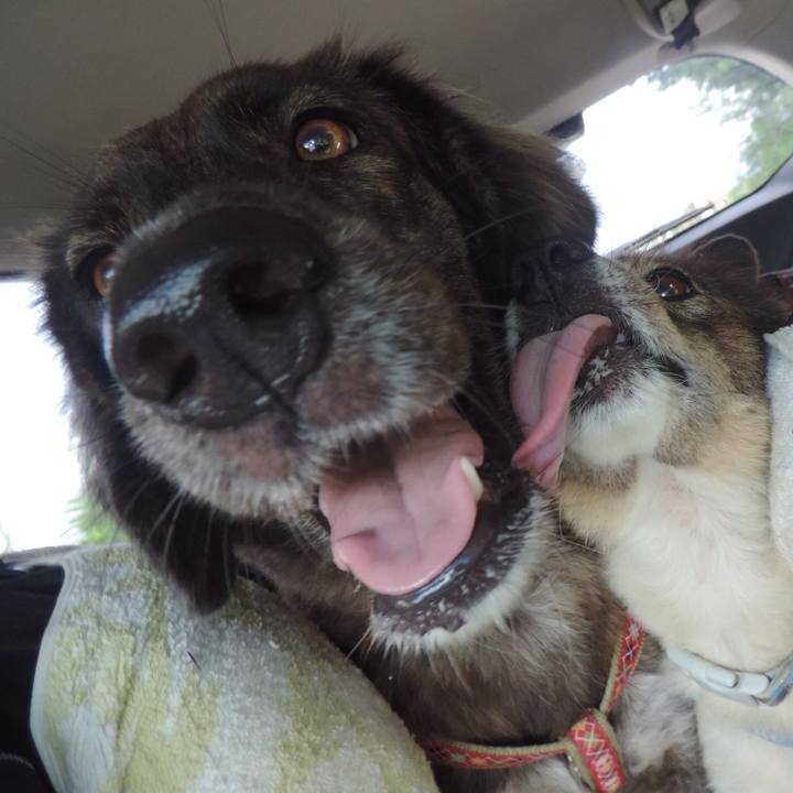 555325c8 fee0 47ba 939a fb79b493d6b7 1509672520814