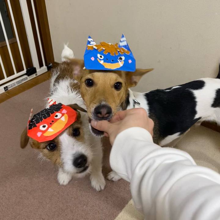 55533ccf 51fc 445d 8599 3d88c0176028 1770115974091