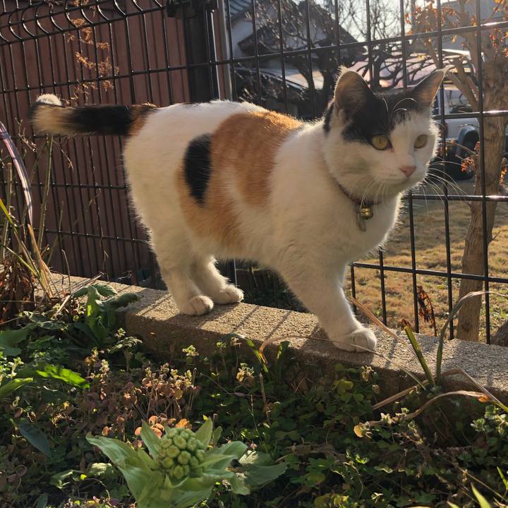 5553731b e040 4f2c af1a 0c193d5e586f 1613869943809