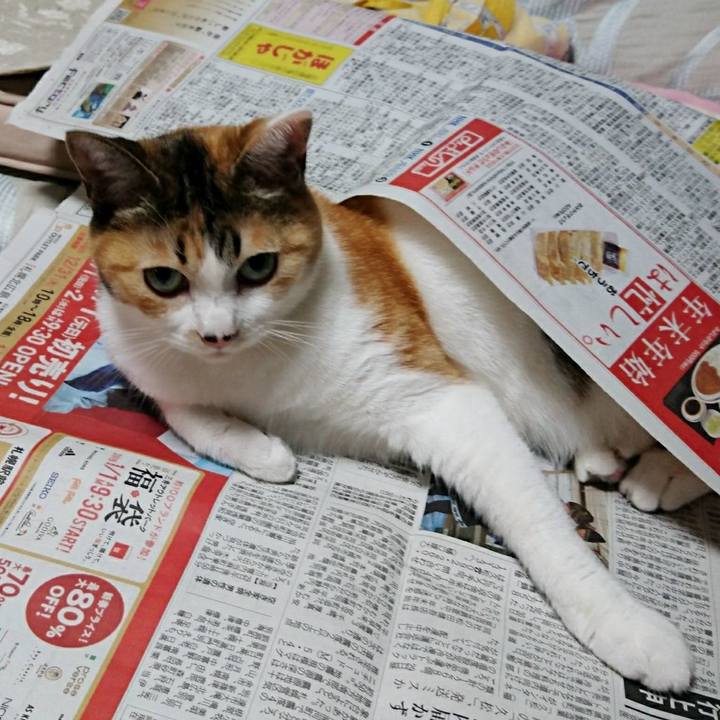 5553b8c1 31d3 4ee1 95da ab7df73c8be2 1546242320946