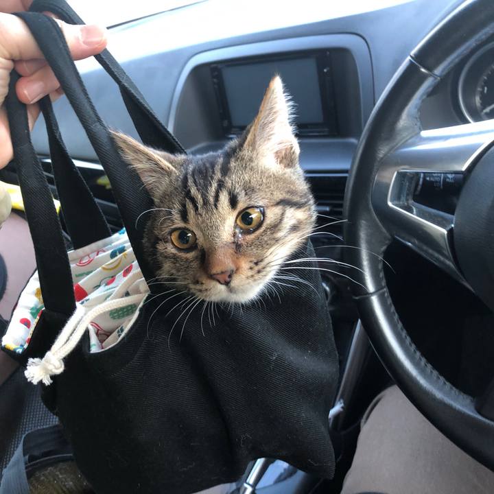 5553bd4e 1b92 4f21 b73a 76af5b752cb5 1731136720001