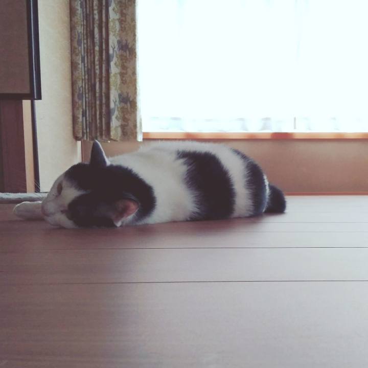 55542882 6766 4cf1 869d 7874890750d6 1531007628004