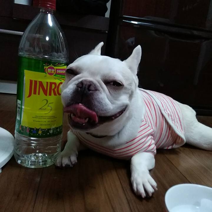 55545842 1f95 47b0 b56c 2d8ccb9a0a4b 1589716692468