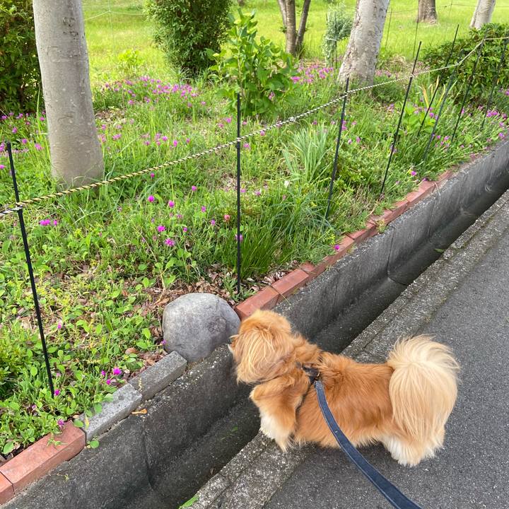 55545915 ea3c 4188 bfa9 e620e5e88cf0 1590617039092