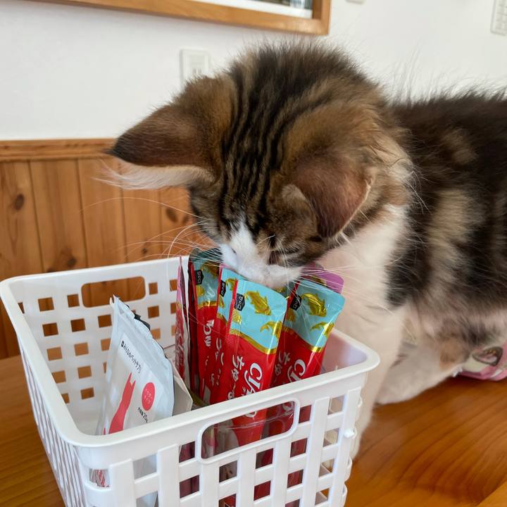 55548bd7 d9f8 451d 91c9 5fa431250f87 1633156463654