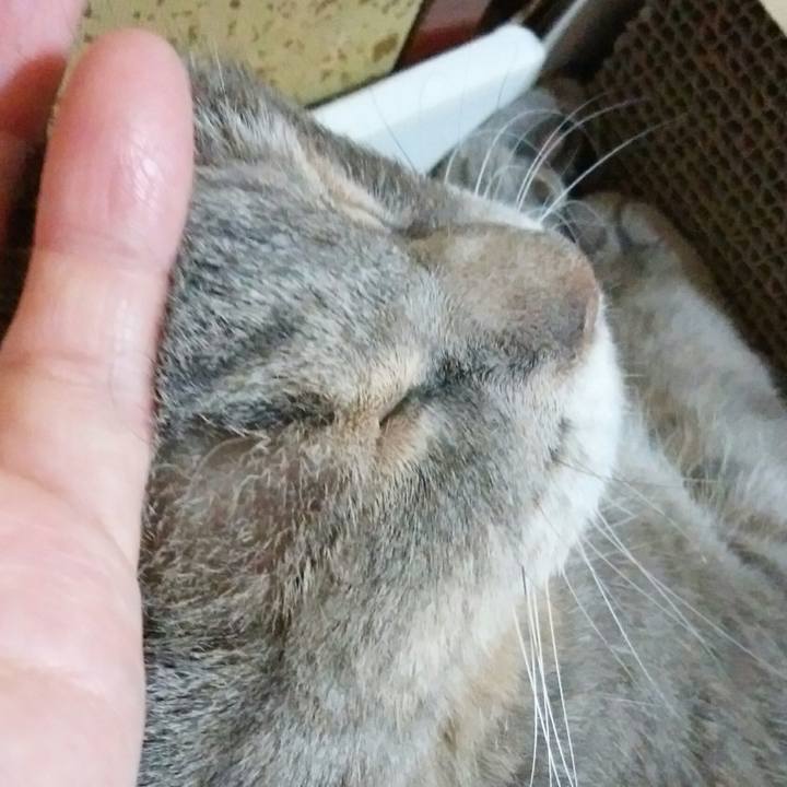 5554974d a3fe 472e 9353 4c18f25ca381 1593872211301