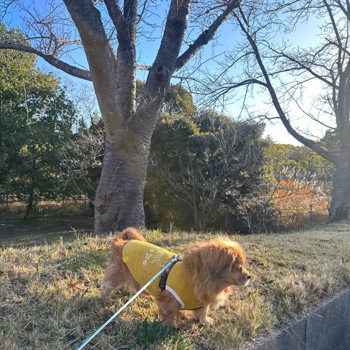 5554986a a288 4886 b617 f6c0dc6aa9c1 1702166076313