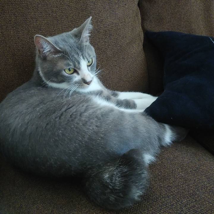 555498ee 6fd7 45f0 9984 4ea8bfd6c125 1592278997986