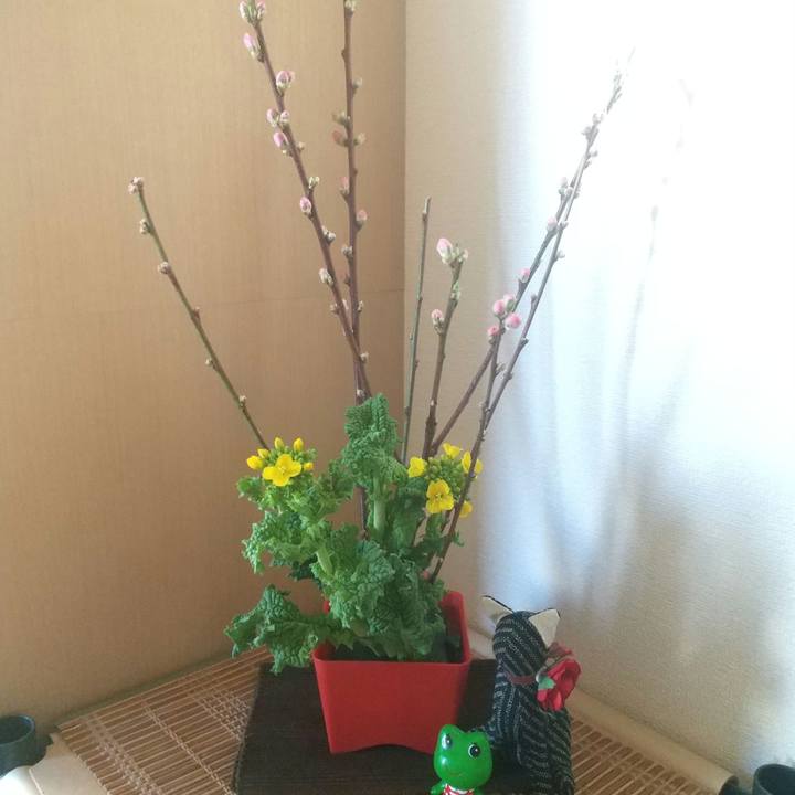 5554cb01 185f 4fd3 8d0f 154674bf574d 1677570199304