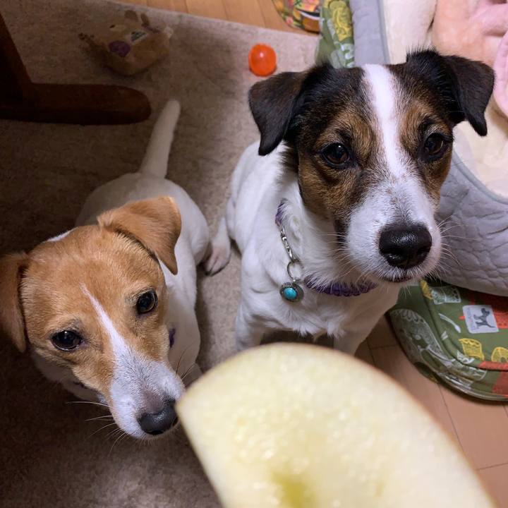 5554cf70 40d2 44d8 ba5b 8972c6eb37bb 1576143624921