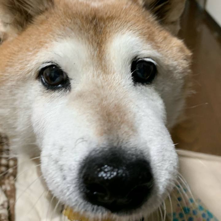 5554db1b 1d52 4d36 a2cb b49f7b241c49 1582020807881