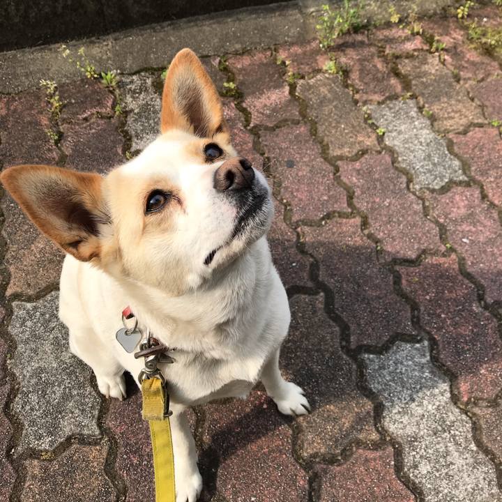 5555079d 4314 4c42 a844 30bad42b2f54 1586589851992