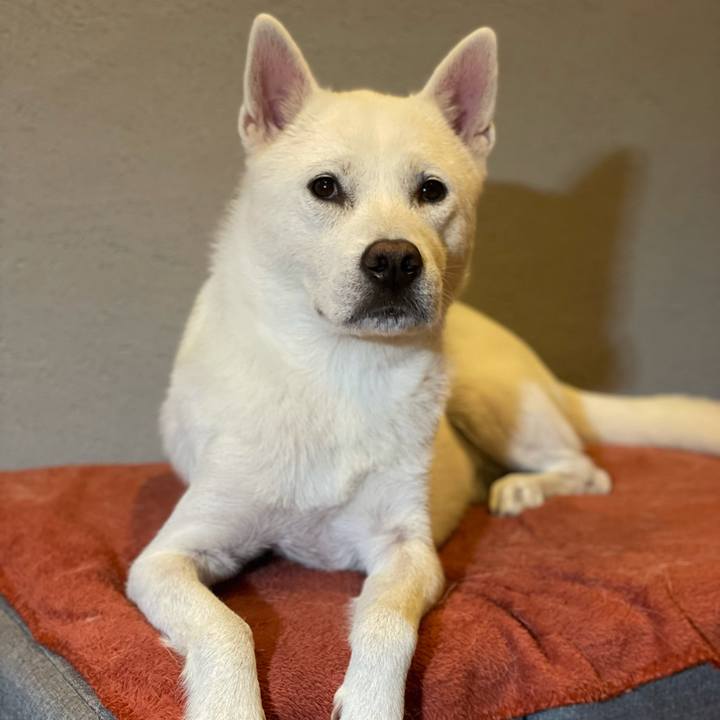 555516fe eede 48eb b3fc 391a6bed7eb1 1634349384430