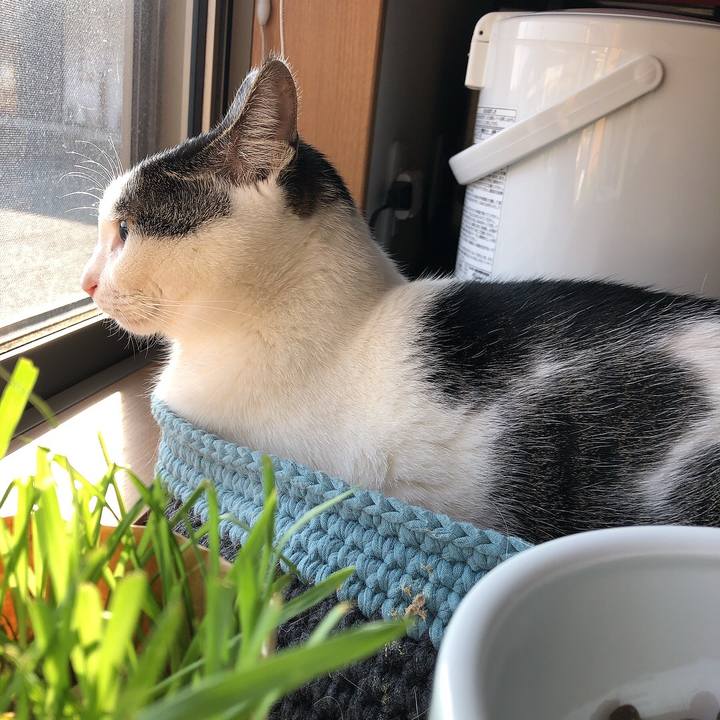 5555187c 25a4 430c 9267 3bf00e077b25 1696029268614