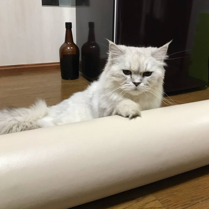 55551d3e adb5 4475 9820 dedfb175851b 1631927107853