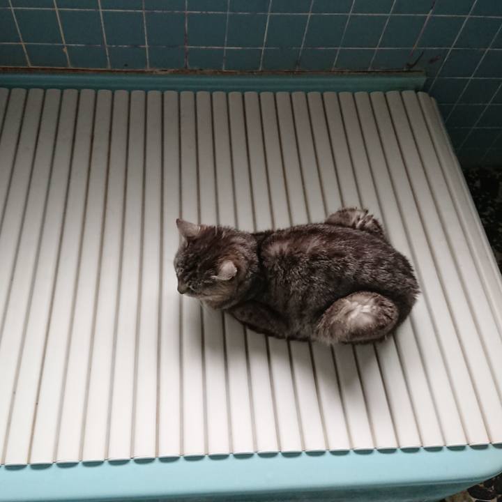 555528a7 c862 4349 8b8a a1be1eeda863 1562453500786