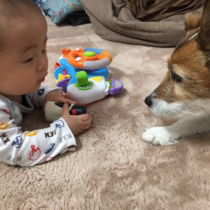 55554bac 613b 4d3c b287 480f4efd4fe3 1550650131270