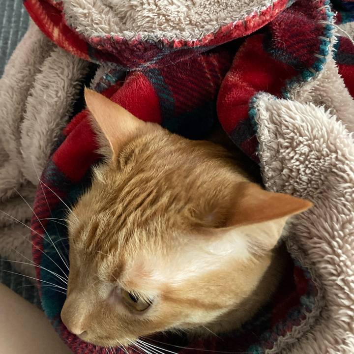 55556896 5076 4e3b a1c3 bd7a68585aaf 1620458107692