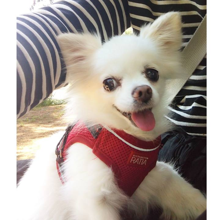 55558911 4d5d 44be afa1 da41c86a5b67 1653745534518