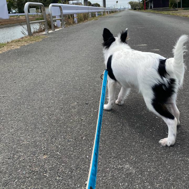 55558eb6 b615 4c0c aa1d 963578d2e2a9 1586929295646