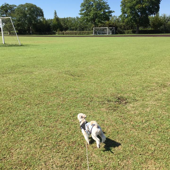 55559bc2 bbf7 4390 86e8 fc920305e325 1538118718753